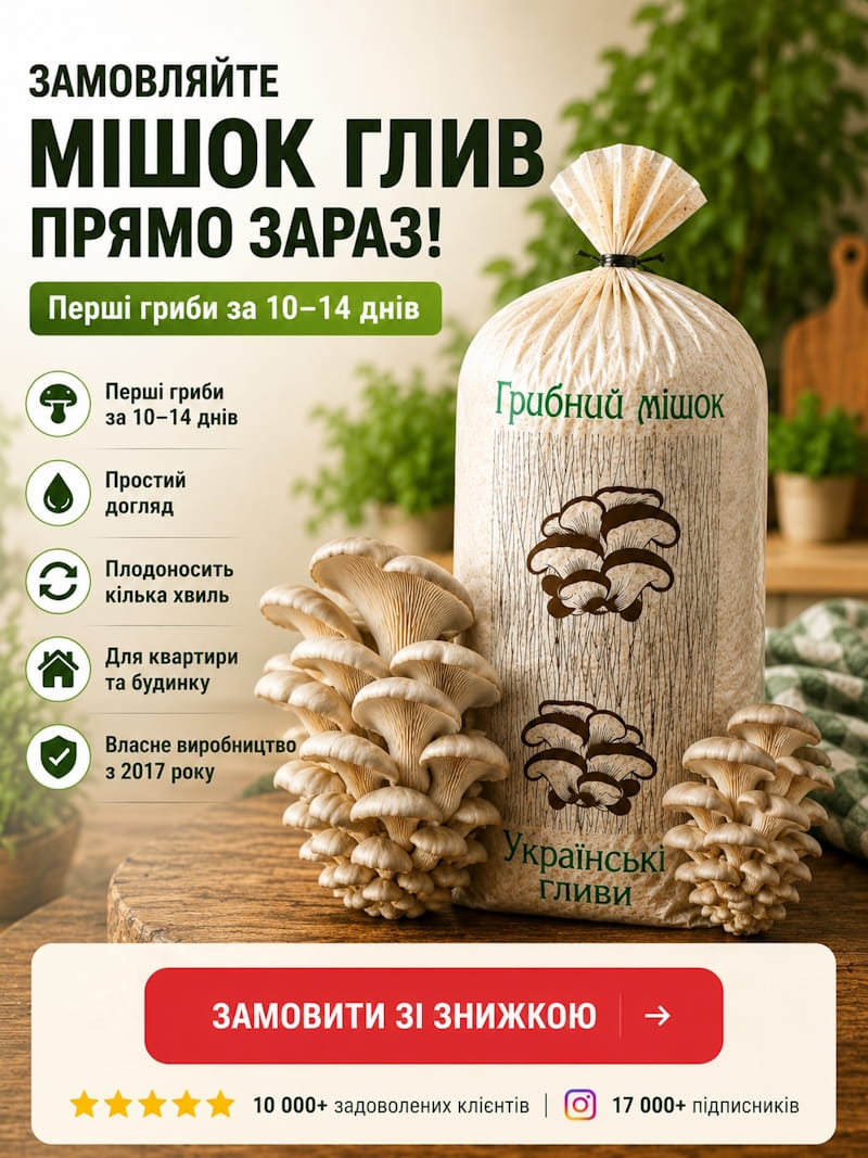 Грибний мішок з міцелієм